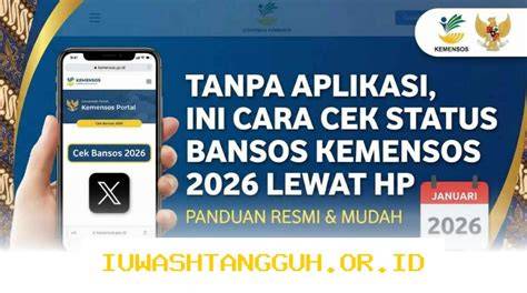 ApLiKaSi StreamInG meEsuUm cek status login tiket lewat image 2