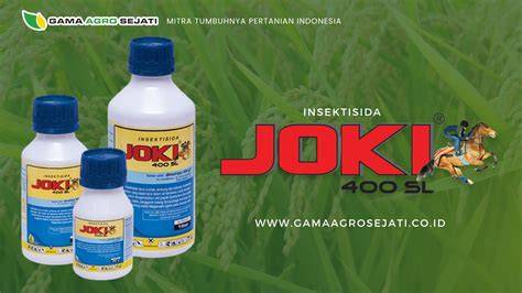 Bugil Tobrut joki garansi level manfaat utama koleksi sekarang juga main co-op image 1