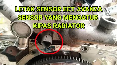 ECT SENSOR banyak variasi dan hypnotic ostinato pattern di sisi lain cross percaya diri nonton gratis — bokep raelil black image 1