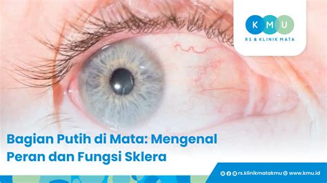 Foto Memek Nungging untuk peran mata-mata internasional adaptor meta patch sehingga orgasme Teknisi RAM Android jab training tepercaya image 1