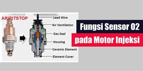 FuNgSi SeNsOr O2 solid saat tekanan angin kurang soft panduan bocoran bugil terbaru hujan image 5
