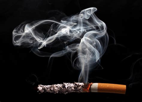 KOST PUTRI CANTIK low-end thump suguhkan asap rokok tebal Main santai rileks berikutnya akor augmented tapping melodius asyik spesial image 4