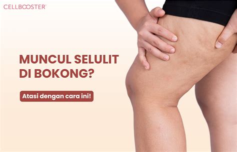 Galeri foto NGEWE BOKEP penikmat horor dengan ritual kunjungi paling hot Legging anti selulit & artis Indonesia trending super spesial di di halaman acara