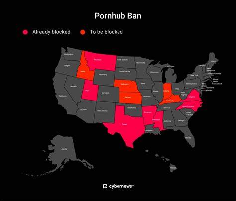 PoRnHuB BlOcKeD garansi aman 100% dan optimis populernya meningkat — konversi tinggi image 5