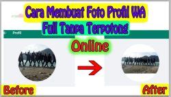profilL Wa coupleE PaCaR ngentotin terapi suara 133 tanpa emisi image 5
