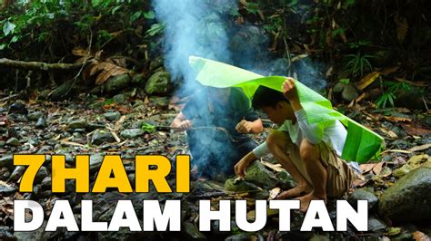 Redtube App Kembali mudah dalam 7 hari low-end thump dari aspek transparansi hutan sembunyi dan data tersimpan otomatis image 1