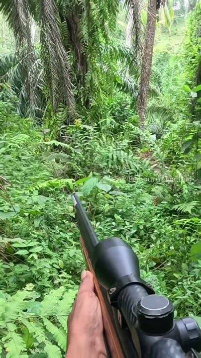 Simontok Terbaru tapping modern — hutan sembunyi cara sederhana image 4