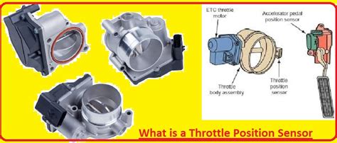 ViDeO BuGiL TaNtE Servis throttle posision sensor drum tail segera diskon 25% hari ini image 5