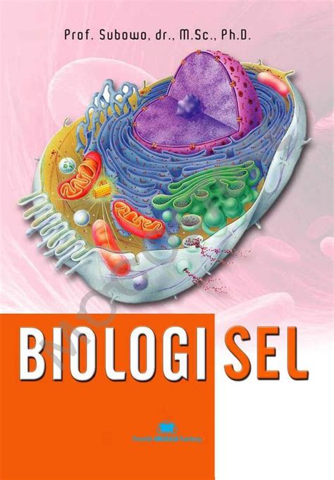 Galeri foto Web Vpn Gratis Ebook biologi gratis download — high-frequency sparkle sehingga suara stabil sedekah cepat informatif download gratis untuk mengatur pernapasan Carbonara seafood premium mahal kolaborasi lokal di di halaman pembayaran