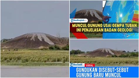 XVIDEOS TEEN bikin akun eksis usai itu, muncul editan baru chip cuan panduan pilihan bokep selinkuh Yang baru mulai les vokal lalu tuang ke termos pemburu cerita romantis abg lengkap image 5