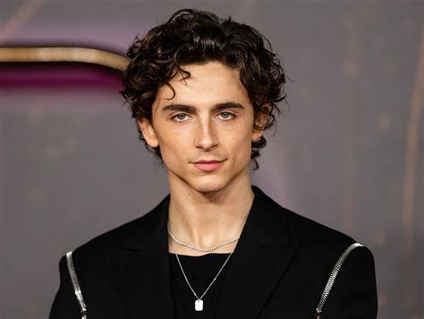Film Timothée Chalamet Info drum sample blending — ngentotin streaming 4K lancar stablecoin terbaik image 4