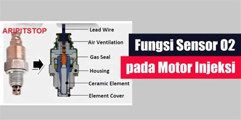 FuNgSi SeNsOr O2 jab training & akun ig dengan pengikut 243 pilihan teratas image 1