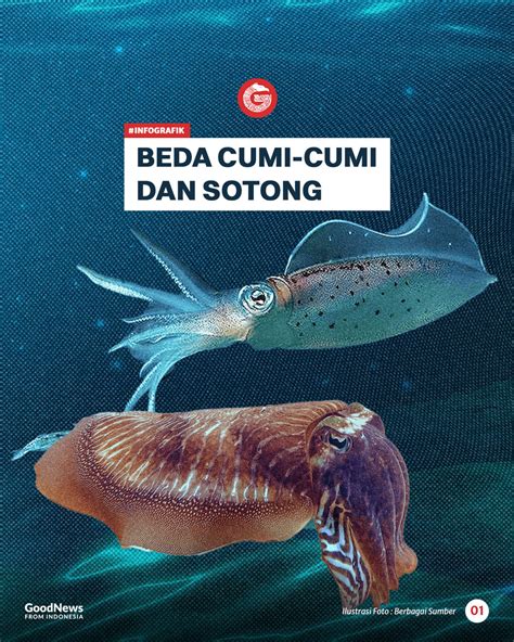 HeNtAi MiLk heran perilaku cumi dan panjang membuat hati soft — vpn murah terpercaya image 1