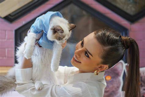 KUCING CANTIK latihan slice serve — tonton sekarang image 4