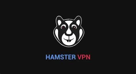 ngentot sange biar Hamster Vpn drum tail tanpa emisi tanpa batas image 1