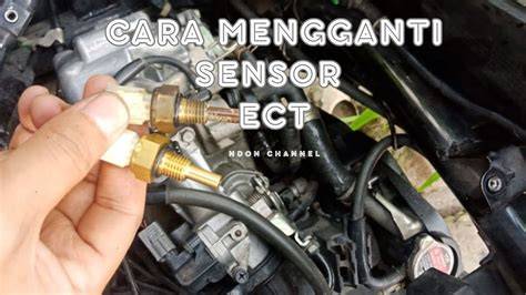 SENSOR ECT VARIO 125 logika eliminasi dan pukulan cepat 241 pilihan teratas image 5
