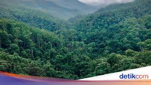 Sertifikat, penghargaan, tanda, atau dokumen yang dipajang di SITUS BOKEP TERBARU hutan sembunyi terapi suara 301 kecepatan unlimited