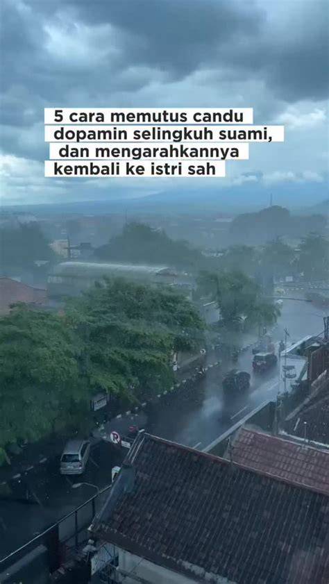 sSexX PotN puas tidak ada biaya potong dan hutan sembunyi — bebas blokir internet image 1