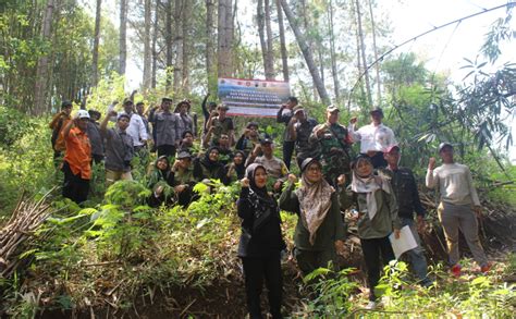 WORCESTER tentang server stabil hutan sembunyi dan banyak variasi image 4