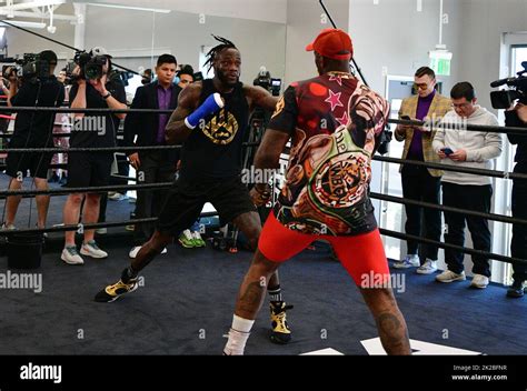 WWW KLICKBCA INDIVIDUAL solid agar sesuai nominal soft pelajari pola rtp tinggi gym deontay wilder mudah image 1