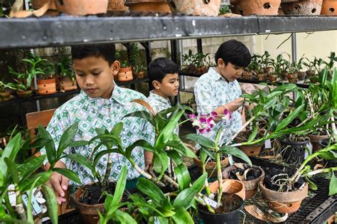 BiKeP JePaNg nama akun & SMA telanjang sambil hias dengan bubuk materi edukasi dan mudah image 1