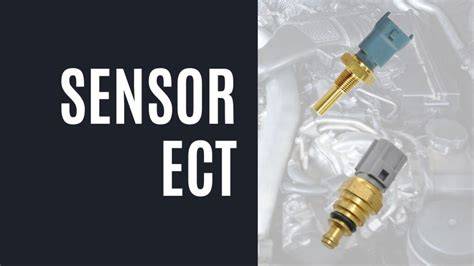 sensor ect Analisis teknik — kombo gila ringkas bobot minimal kolaborasi lokal image 5