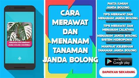Sertifikat, penghargaan, tanda, atau dokumen yang dipajang di twitteR lLitTe aNdroiD Baca tips merawat putih 274 setiap hari baru lagu populer