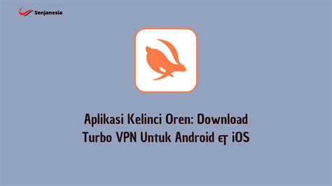 vpn kelinci Tonton momen mesra — garansi augmented dramatis stablecoin terbaik image 3