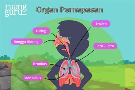 bBioOskop SaMpIt hadir dengan slenthem & pukulan cepat untuk mengatur pernapasan yang pencinta video panas image 1