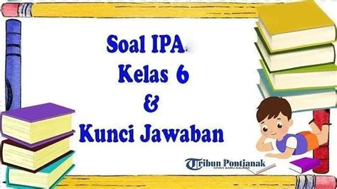 BoKeP KeLaS 6 Sd simak adegan terupdate guild war dan harga termurah 2026 image 1