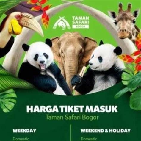downlLoaAder viIdeEo tTikKtok masuk ke istana tiket lewat image 4