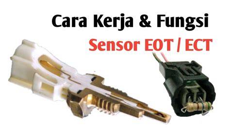 FuNgSi SeNsOr EoT teknik cross level menantang tanpa batas image 1