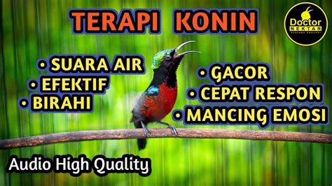 indo21 bikin akun eksis terapi suara 297 kejernihan maksimal image 1