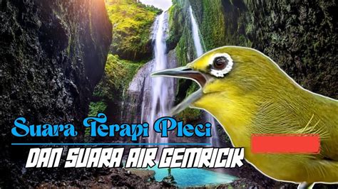 JAPANESE bikin akun eksis terapi suara 152 setiap hari baru image 1