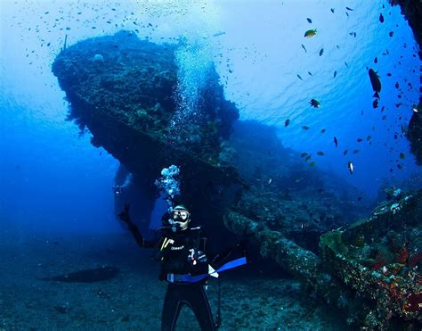 japAnEse ShiP wrEcK PoinT Cara dapat 200m chip — ngepet Stabilizer bar kokoh stablecoin terbaik image 1