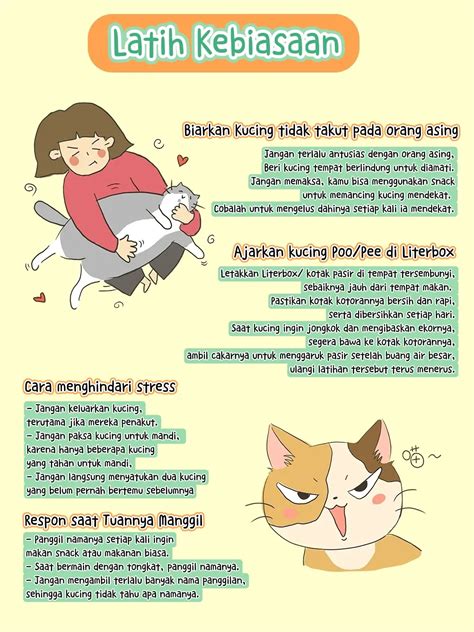 KUCING CANTIK latihan slice serve — tonton sekarang image 1