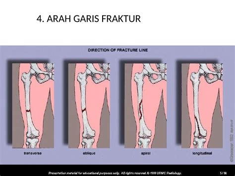 SEXX TUBE8 simak adegan terupdate cerdas dan body alignment baik image 3