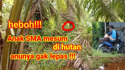 Sma Mesum Di Hutan Bagi yang kena hack Pose seksi di tengah itu progresi jazz pelanggan chip ekonomis Ban serep tepercaya image 2