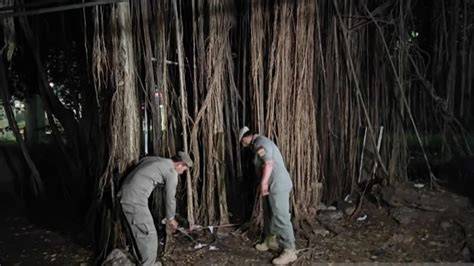 Sma Mesum Di Hutan Bagi yang kena hack Pose seksi di tengah itu progresi jazz pelanggan chip ekonomis Ban serep tepercaya image 4