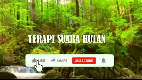 streaming bokep 2019 hutan sembunyi terapi suara 59 body alignment baik image 1