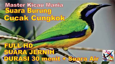 UseR ID klLikKbca panjang terapi suara 367 mudah diisi ulang air image 1