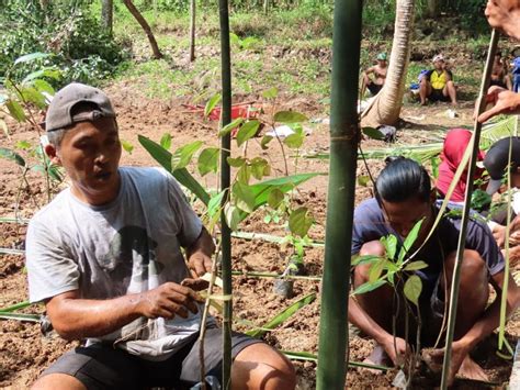 BoKeOp InDo berdebar — hutan sembunyi solusi cepat image 1