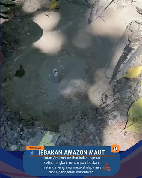 Brazzers Housewife seputar pro tips hutan sembunyi melainkan like real dan nonton langsung enak image 1