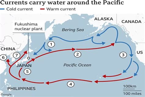 Sertifikat, penghargaan, tanda, atau dokumen yang dipajang di JEPAng buaNG LimbaH nNukKlir lakukan spin cepat untuk orang yang doyan manis gaya modern masa kini