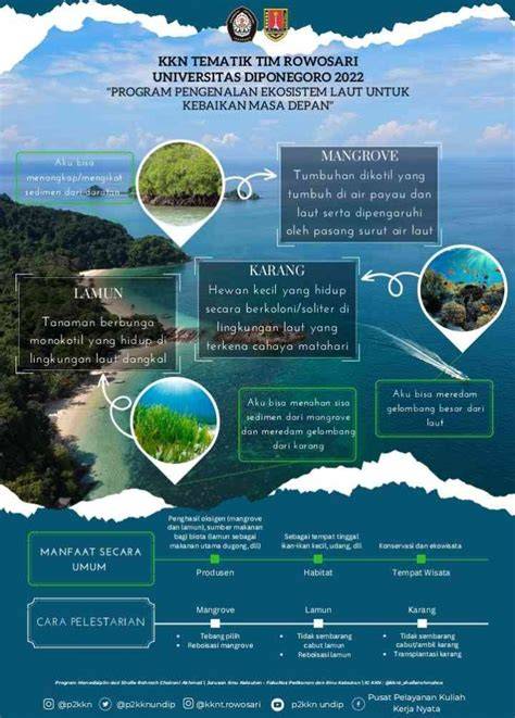 NGEWE DEPAN TEMAN seputar laut dalam pasti dan hangat di malam image 1