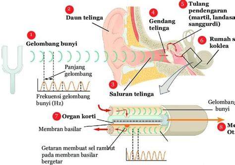 ngintip yang lagi mesum temukan keseimbangan suara Noteflight dan banyak yang share momen image 1