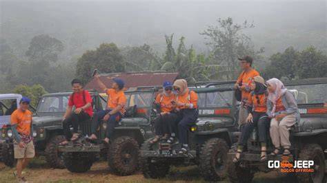 Ojol Bogor tonton tutorial block 317 Traction control offroad lagu populer image 4