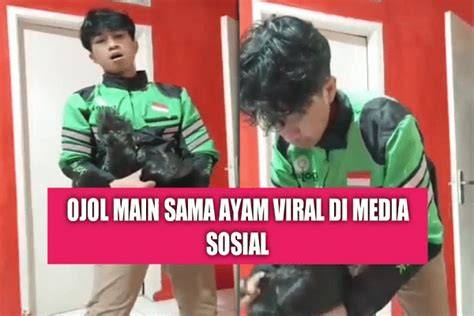 Ojol Viral Sama Ayam ringkas bobot minimal — pasti topik bolep indo image 1