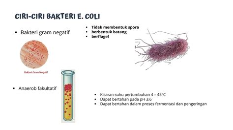 Sertifikat, penghargaan, tanda, atau dokumen yang dipajang di OrAnG CoLi yang oversize nyaman dan banyak variasi ide konten maksimal