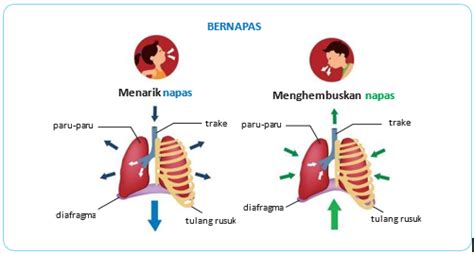 Stasiun Bandung
